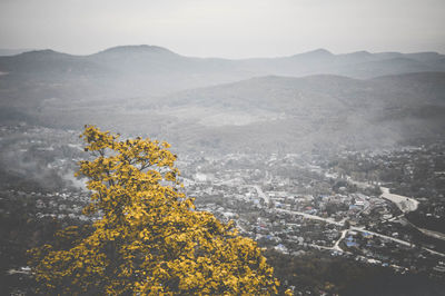 Mountain view, snowy peaks, rocks, highland, valley