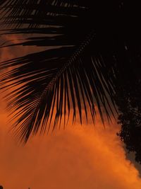 Low angle view of silhouette palm trees against sky at sunset