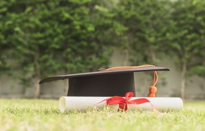 Close-up of red chair in park