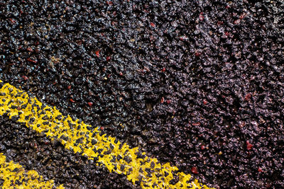 High angle view of wet road