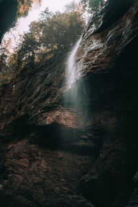 Low angle view of waterfall in forest