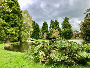 Scenic view of lake by trees against sky