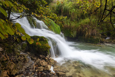 Scenic view of waterfall in forest