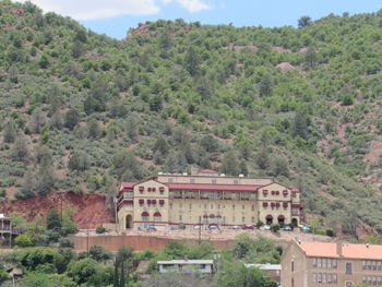 High angle view of trees and buildings