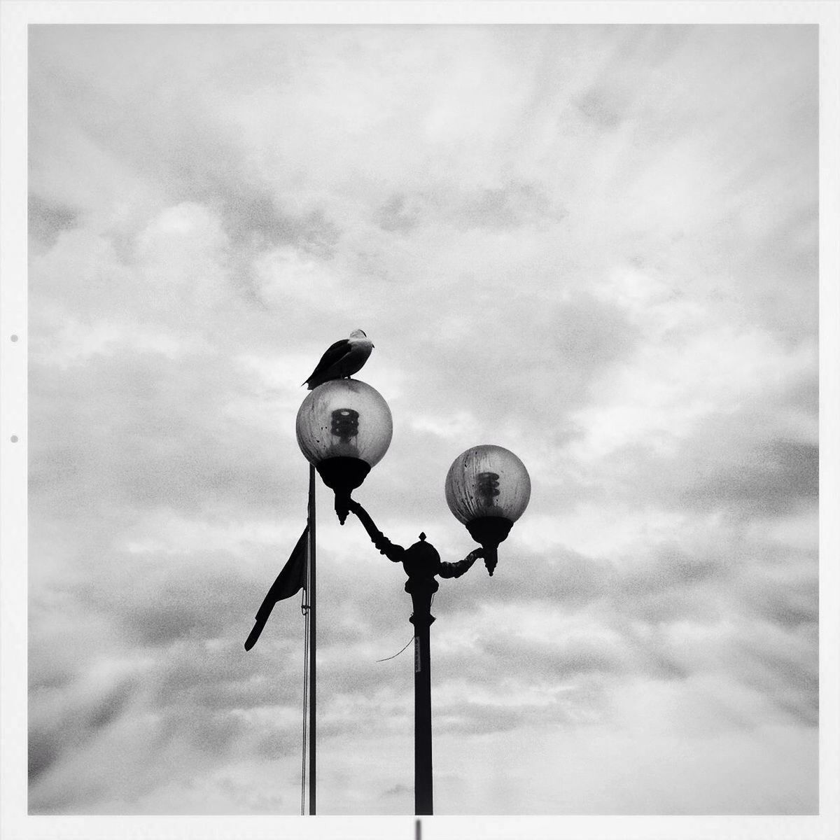 sky, low angle view, street light, cloud - sky, lighting equipment, cloudy, cloud, pole, transfer print, day, outdoors, auto post production filter, technology, communication, no people, overcast, metal, guidance, safety, electricity