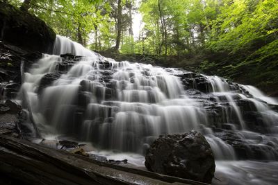 Scenic view of waterfall in forest