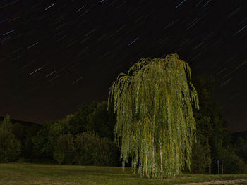 Trees on field against sky at night