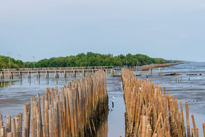 Wooden posts in lake against clear sky