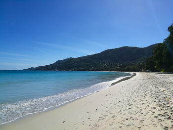 Scenic view of beach against clear sky