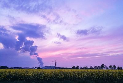 Scenic view of field against sky during sunset