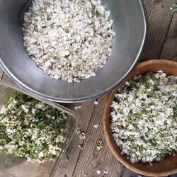 High angle view of flowering plant in bowl