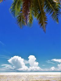 Scenic view of sea against blue sky