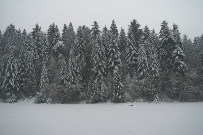 Scenic view of snow covered landscape