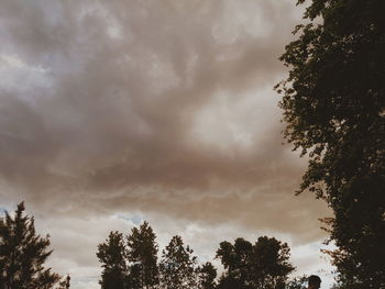 Low angle view of trees against cloudy sky