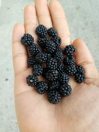 Close-up of hand holding berries