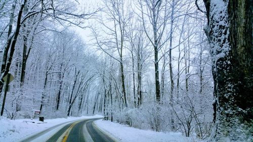 Snow covered road amidst trees during winter