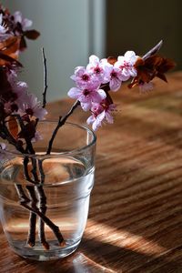 Close-up of purple flower in glass vase on table