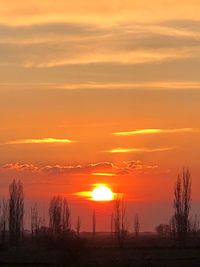 Silhouette trees on field against romantic sky at sunset