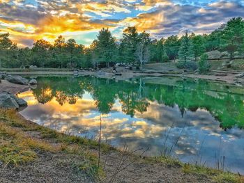 Scenic view of lake by trees against sky