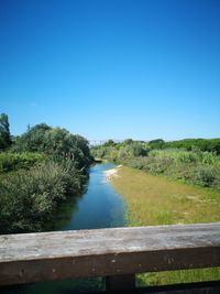 Scenic view of river amidst trees against clear blue sky