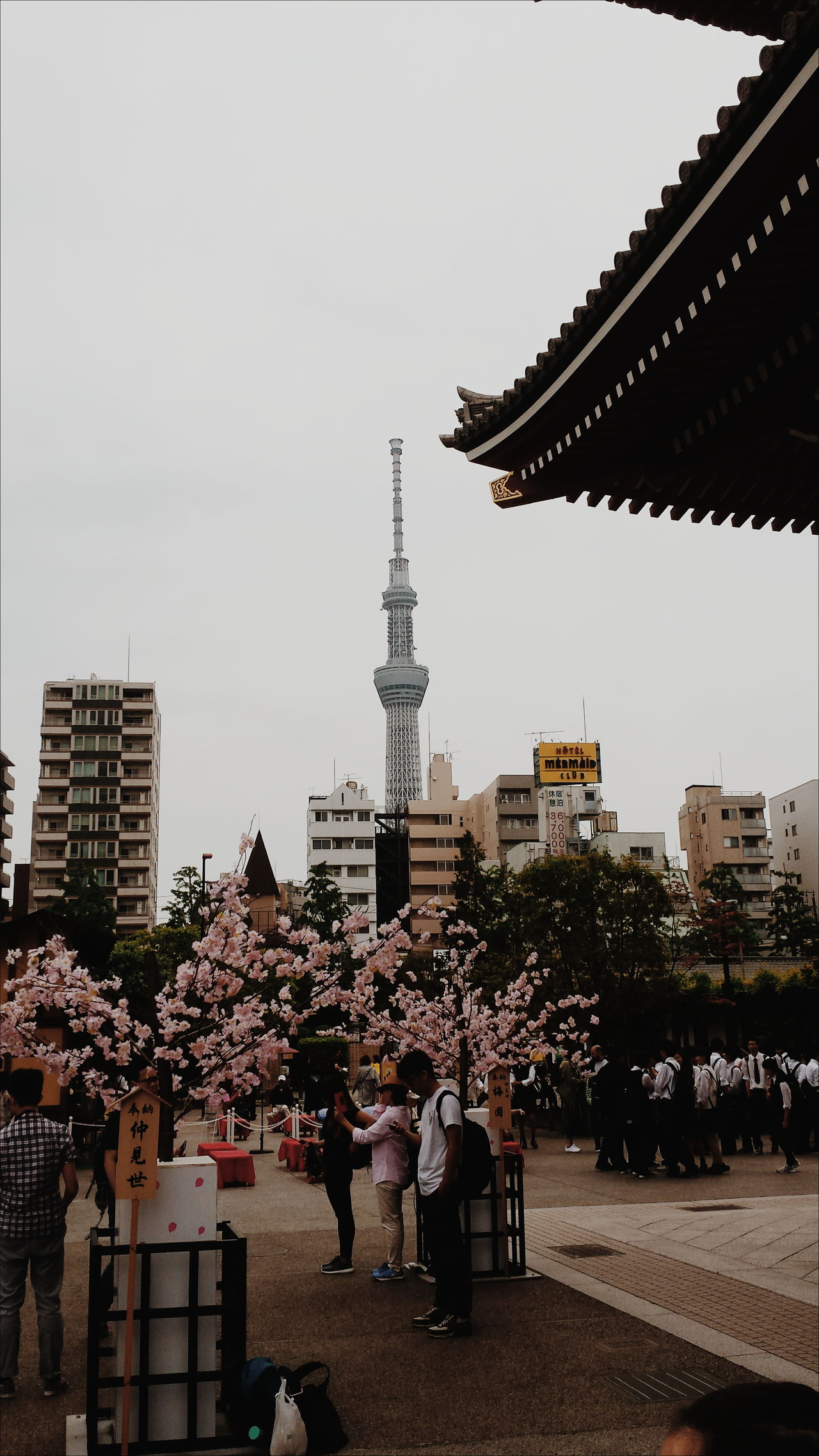 Tokyogirls