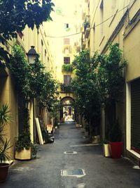 Narrow walkway along buildings