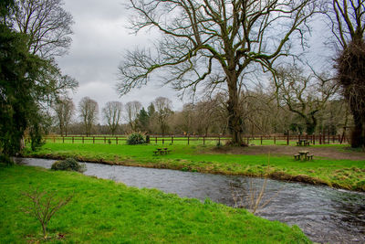 View of grassy field by lake against sky