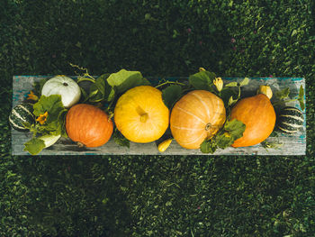 Various types of decorative pumpkins on a dark background