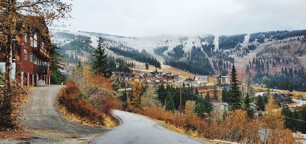 Road amidst trees and buildings against sky during autumn