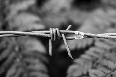 Close-up of barbed wire fence