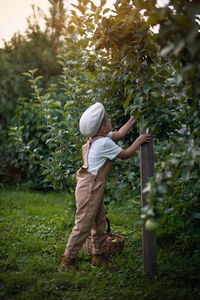 Rear view of man walking in field