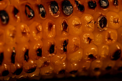 Full frame shot of yellow flower