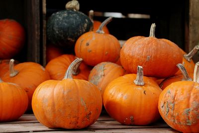 Close-up of pumpkins for sale at market stall