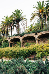 Arch bridge and palm trees against clear sky