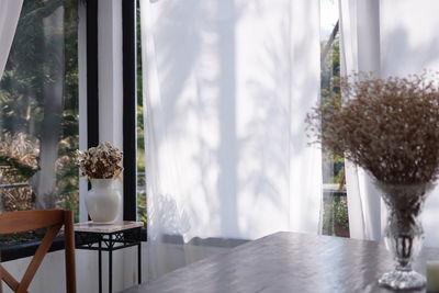 Potted plants on table by window