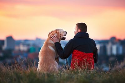 Rear view of friends with dog against sky during sunset