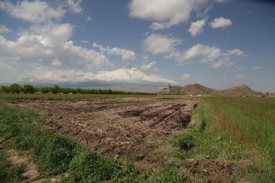 Scenic view of agricultural field against sky