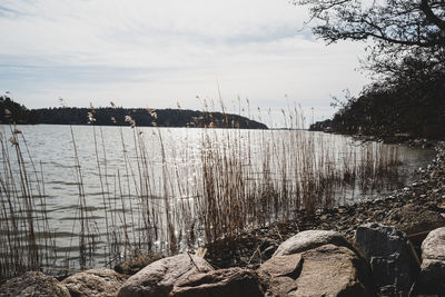 Scenic view of river against sky