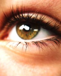 Cropped image of thoughtful woman eye