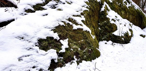 High angle view of snow covered trees on field