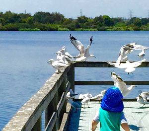 Seagull perching on railing