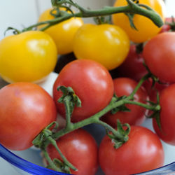 Close-up of tomatoes