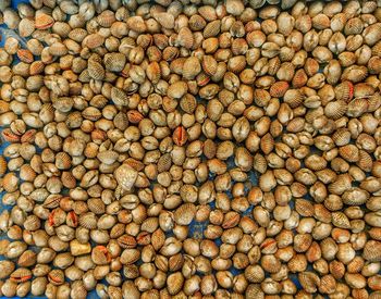 Full frame shot of onions for sale at market