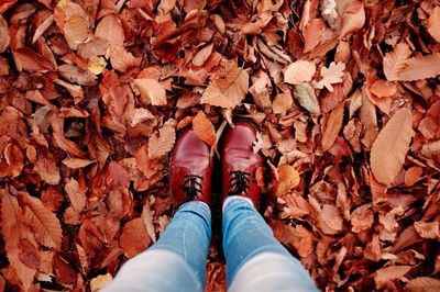 Low section of person standing on dry autumn leaves