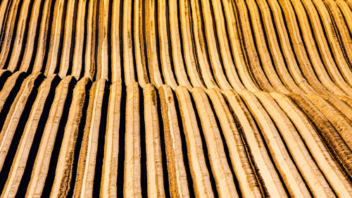 Close-up of line furrows in plowed farmland, prepared and planted with potatoes, no plants