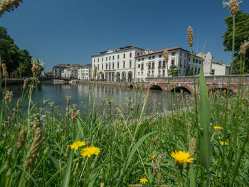 Scenic view of river by buildings against clear sky