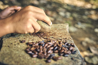 Close-up of hand holding bread