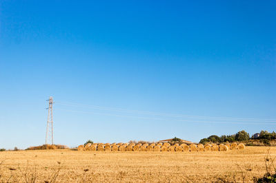 Panoramic view of agricultural field against clear blue sky