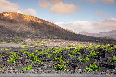 Scenic view of land against sky