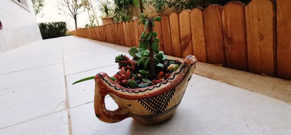 Potted plant in basket on table